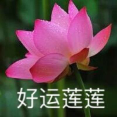 甘肃省纪委通报4起违反中央八项规定精神典型问题